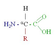Alfa-aminoskaabes vispaariigaa struktuurformula