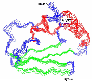 NMR proteiina struktuura